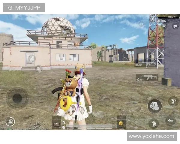 和平精英热议:WE战队实力与争议的深度剖析与反思