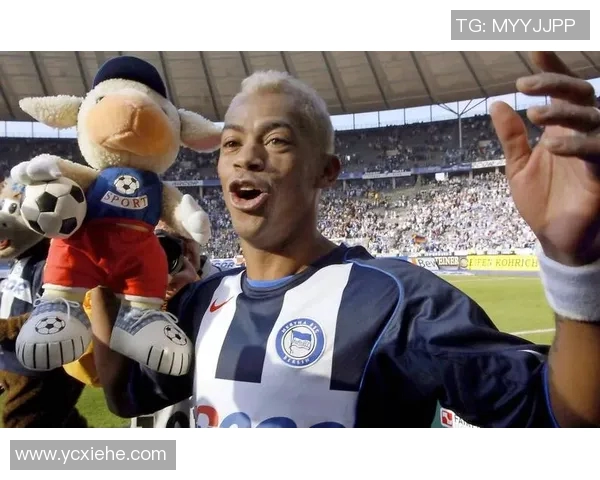 托迪博效力过的德甲球队介绍