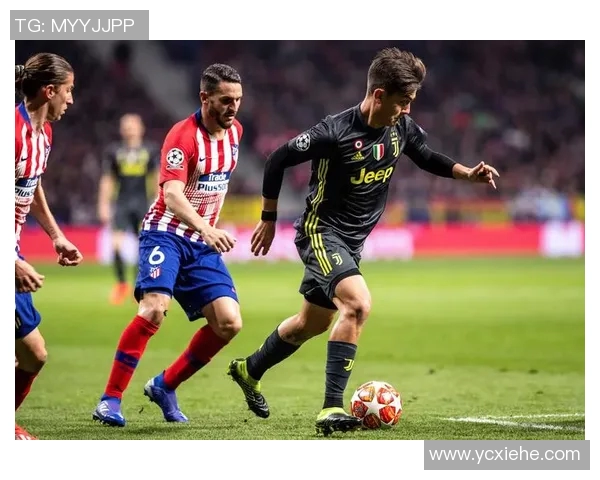 欧冠联赛官方网站信息导航与数据查询指南