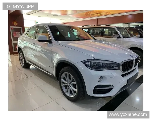 飞盘梦想与人生追求：陈芳的深度对话与成长故事