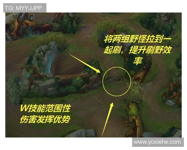 LNG战术解析：如何构建高效阵地战体系以掌控游戏节奏