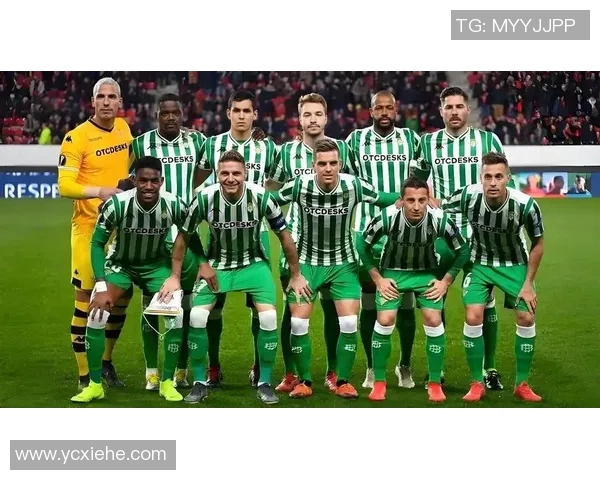 西甲篮球联赛球队概况：西甲篮球联赛的球队与竞争分析