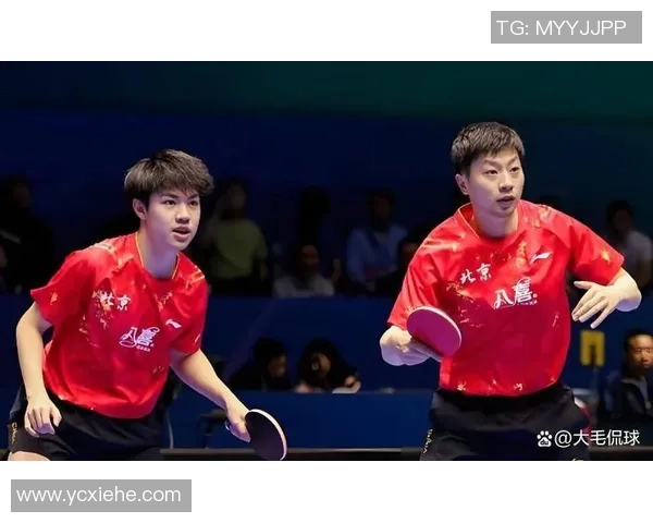 乒乓球防守艺术揭秘：探寻北京乒乓球队的战术与技巧