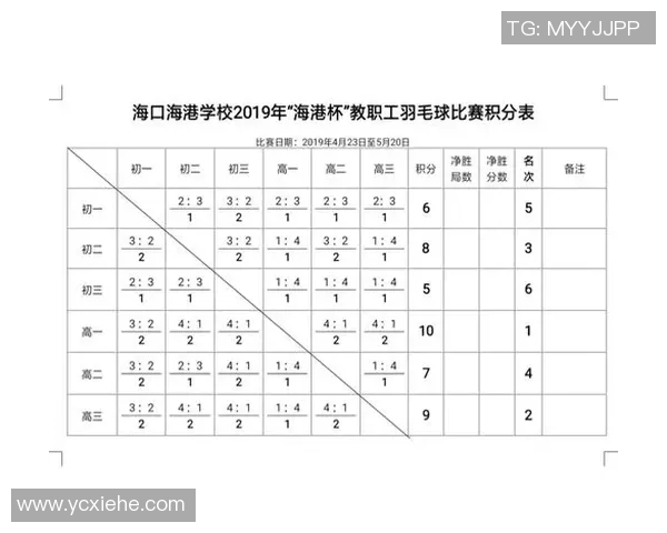 北京羽毛球队以61分稳居杯赛积分榜首位展现强大实力